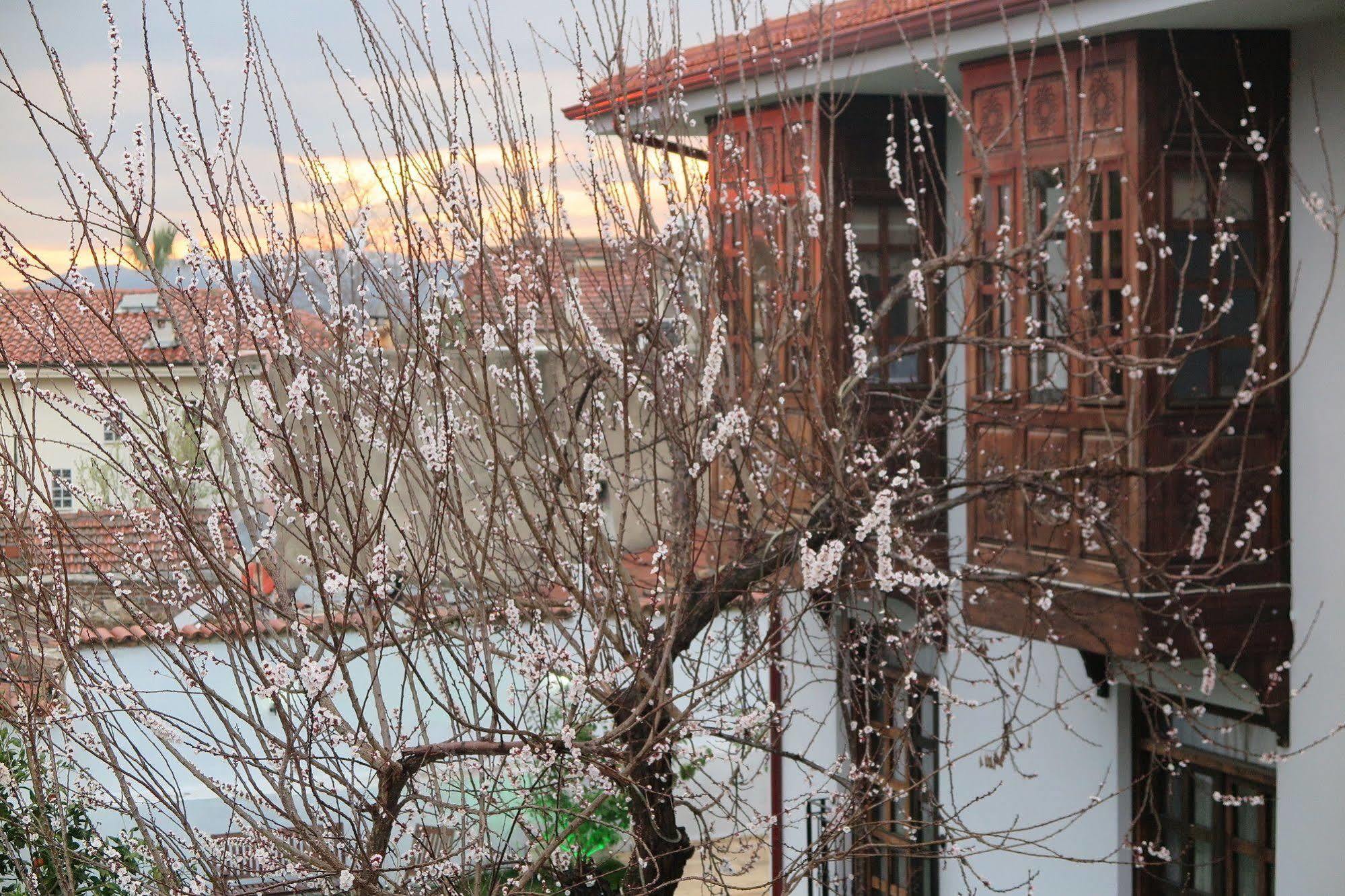 Ephesus Paradise Hotel Selçuk Kültér fotó